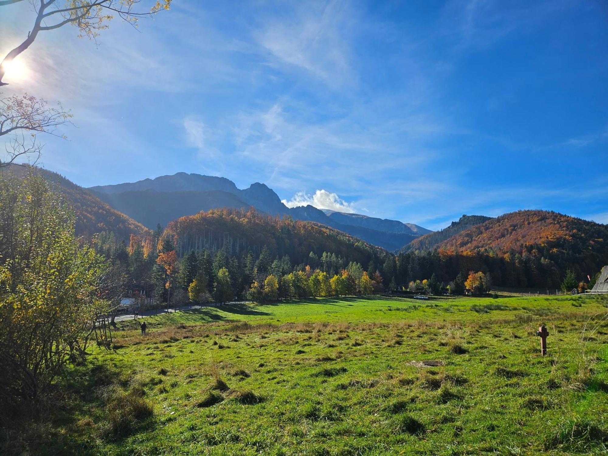 Rs6 * Zakopane